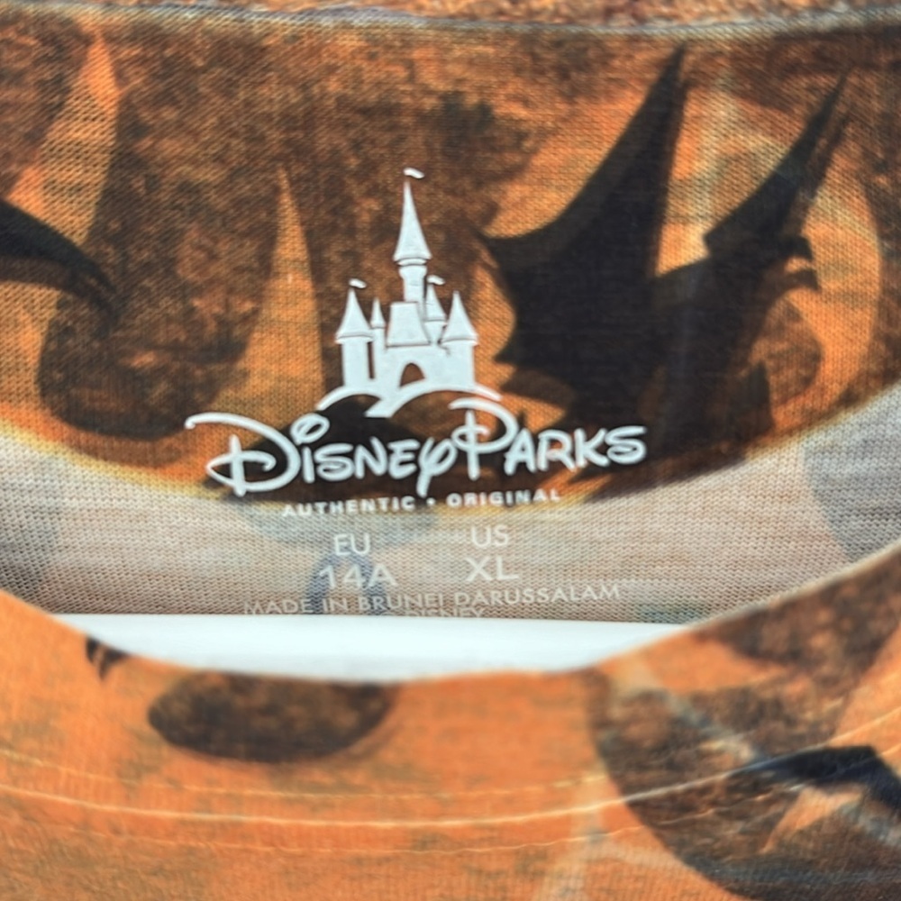 Disney Parks 2014 Haunted Mansion shirt kids size XL - Picture 3 of 7